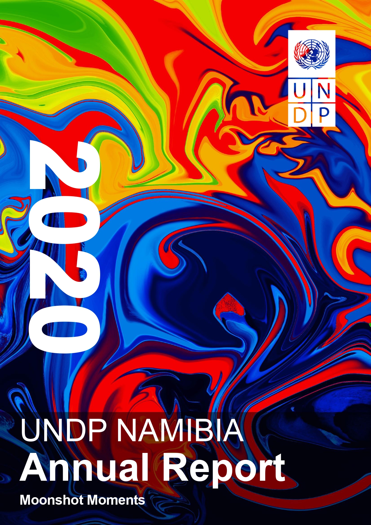 UNDP Namibia 2020 Annual Report