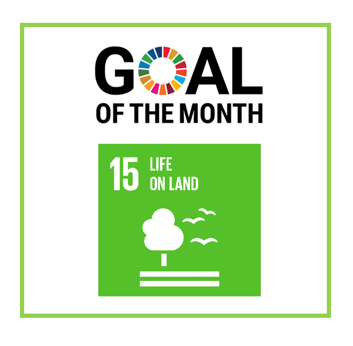 SDG of the Month | April 2022