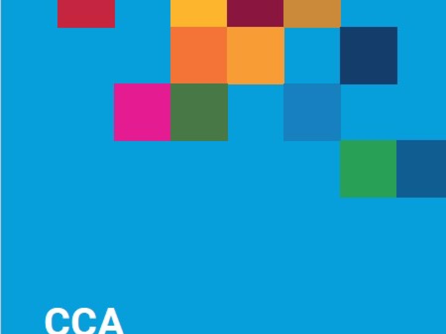 CCA COMMON COUNTRY ANALYSIS 2023