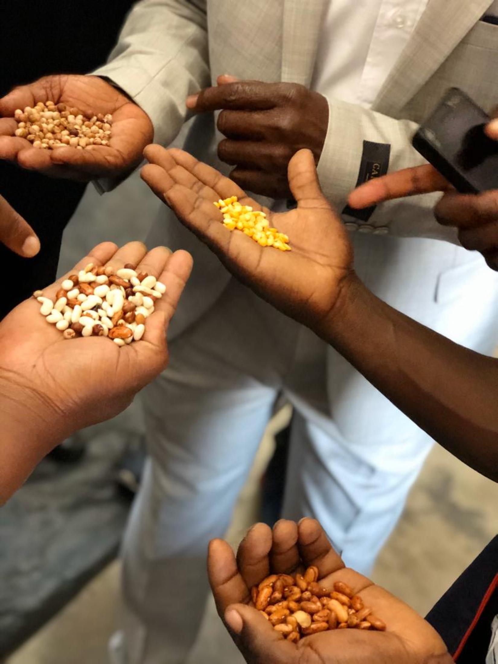 Delegates at the warehouse discover the different variety of pulses distributed through the food assistance programmes