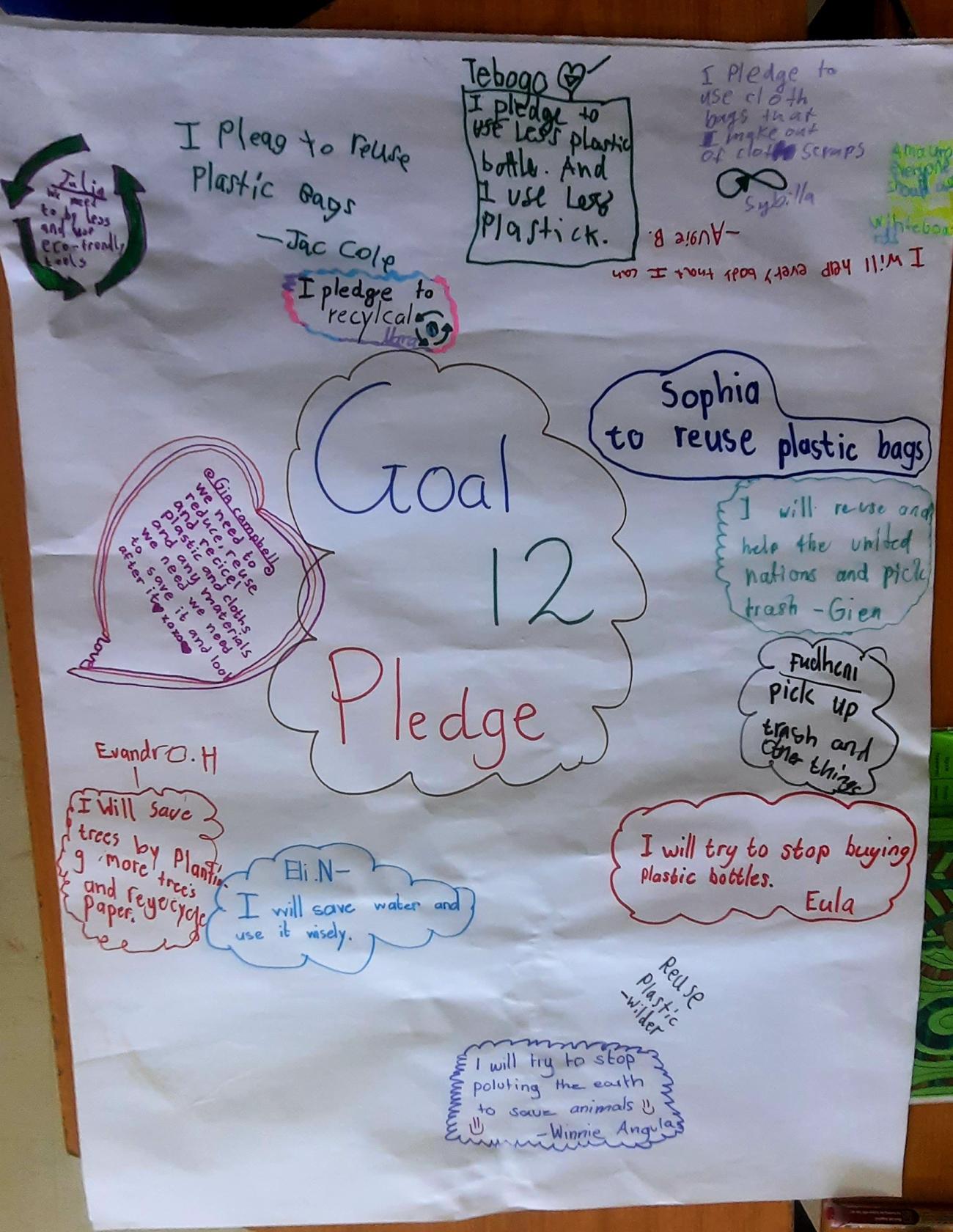 SDG 12 pledges by students