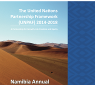 Namibia Annual United Nations Country Results Report 2017
