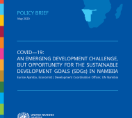 The United Nations (UN) Namibia launched a policy brief titled: “COVID-19: An Emerging Development Challenge, but opportunity for the Sustainable Development Goals (SDGs) in Namibia.”