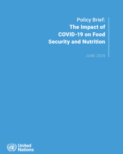 Policy Brief: The Impact of COVID-19 on Food Security and Nutrition