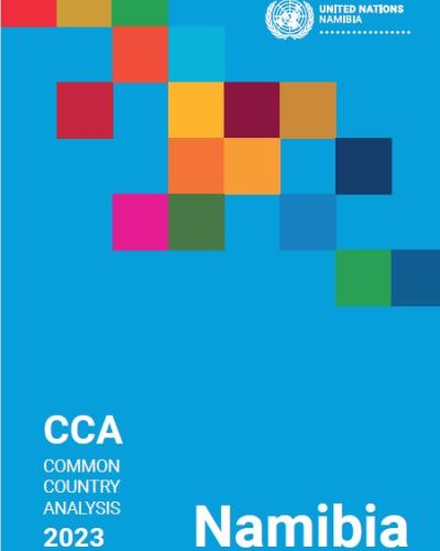 CCA COMMON COUNTRY ANALYSIS 2023