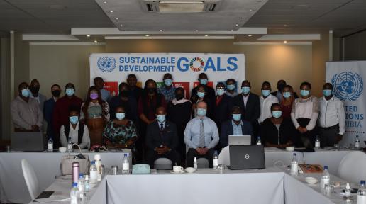 Participants from NPC, various Ministries and UN Agencies at the workshop
