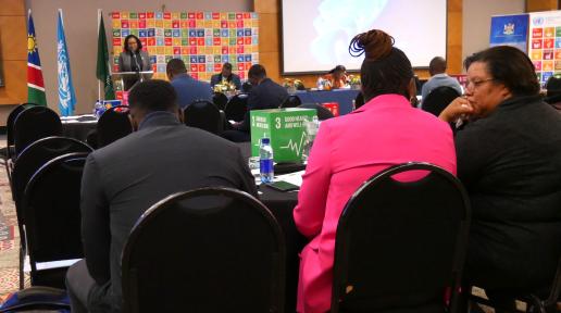 United Nations and Namibia Government Unveil Comprehensive Roadmap to Tackle Poverty and Unemployment