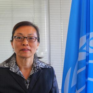 FAO Representative